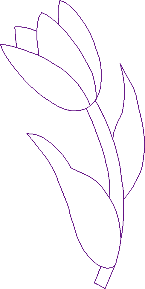 Quilting 25 - New Traditions (25)