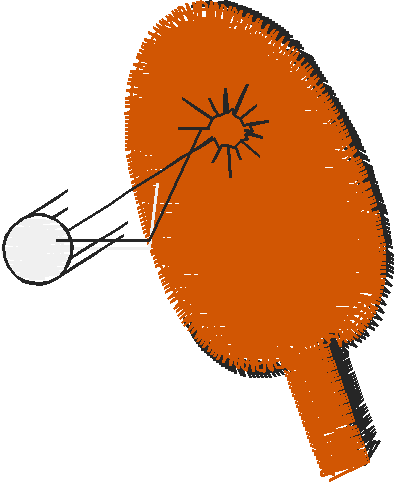 Racquet Sports 1  (18)