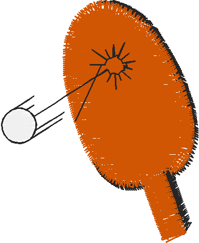 Racquet Sports 2 (18)