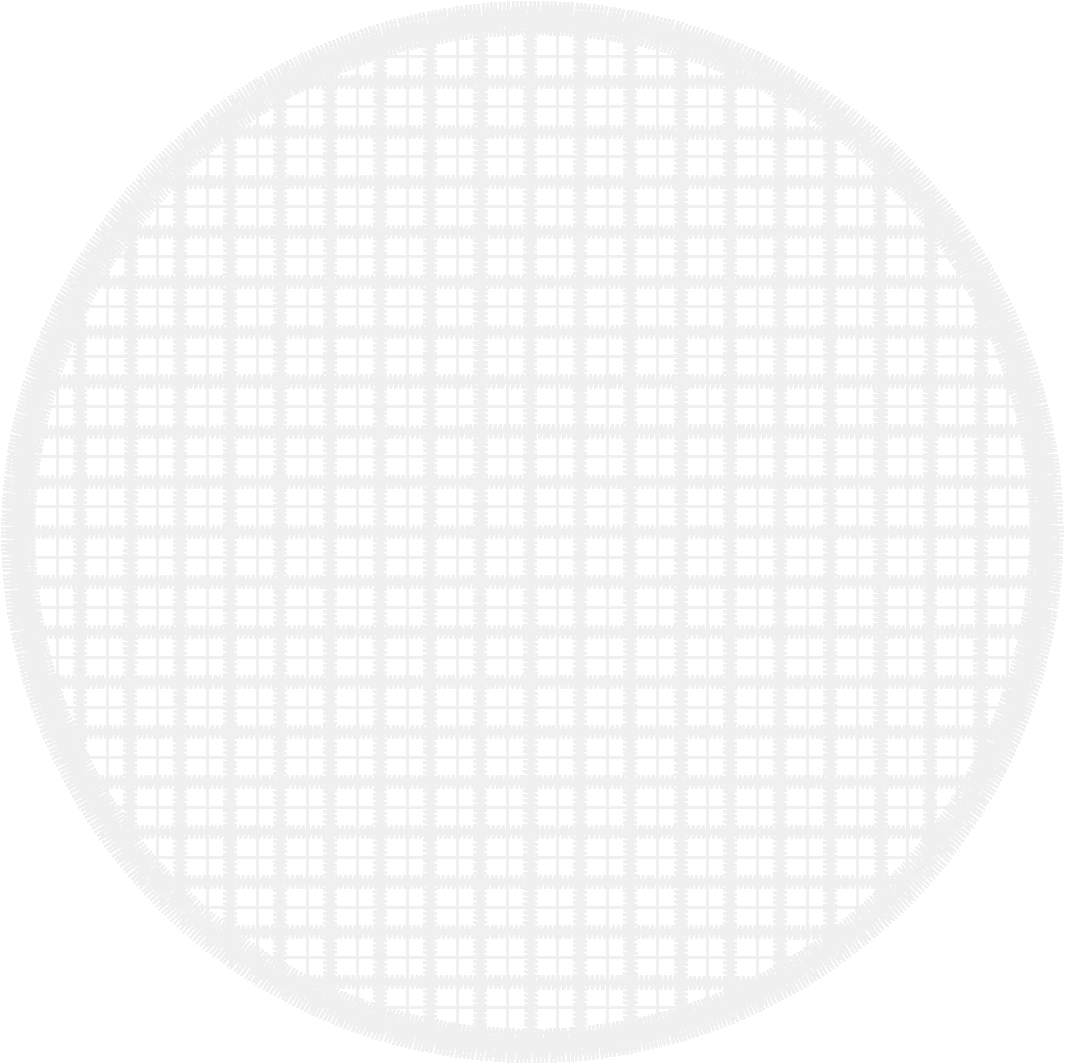 Radiant Christmas 1  (4)