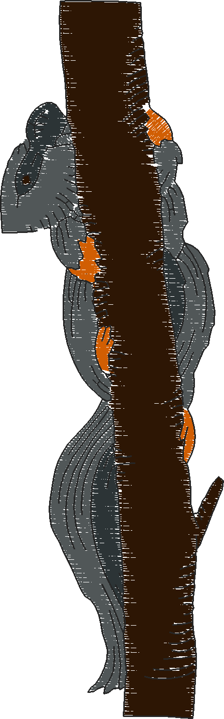 Realistic Squirrels  1 (1)