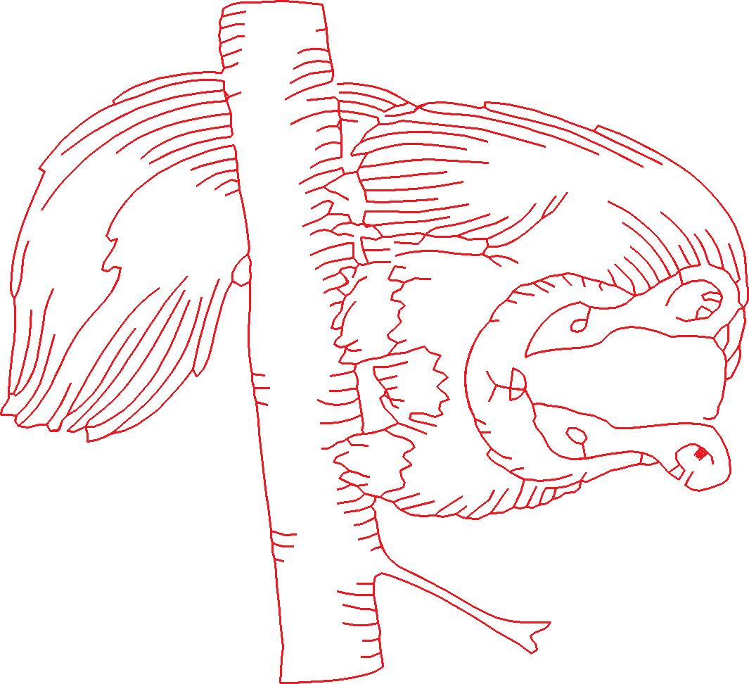 Realistic Squirrels  1 (10)