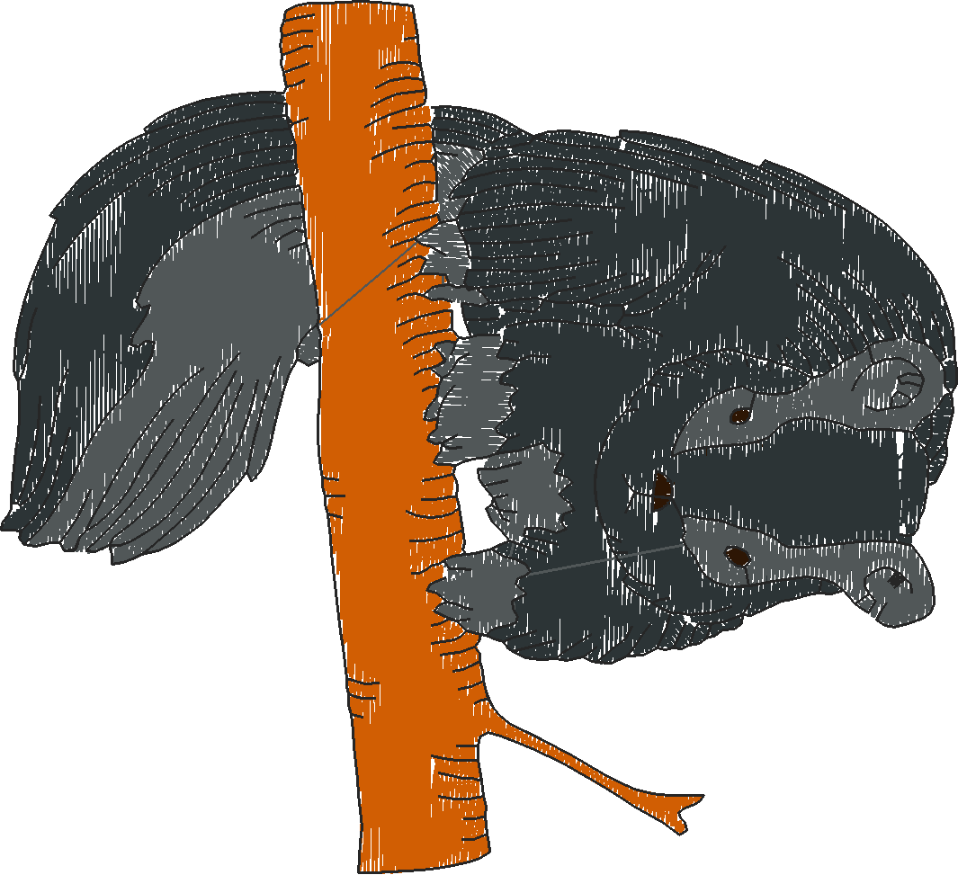 Realistic Squirrels  1 (5)