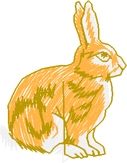 Realistic Wildlife 1  (10)