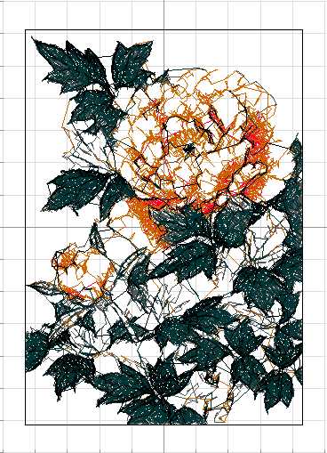 Botan Bush Peony2