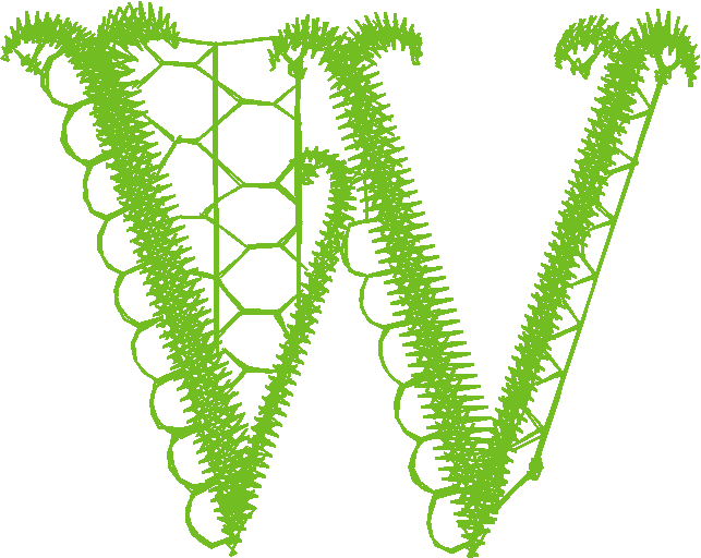 W