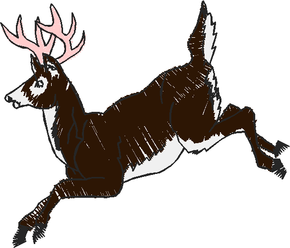 Animals 1 (5)