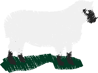 Animals 1 (9)