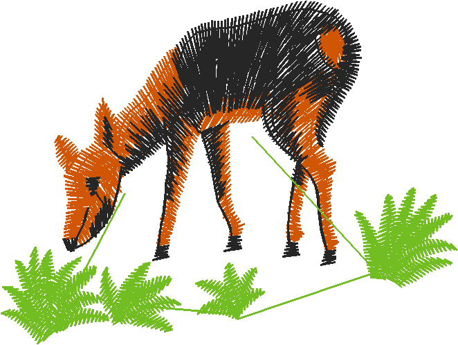 Animals 4 (2)