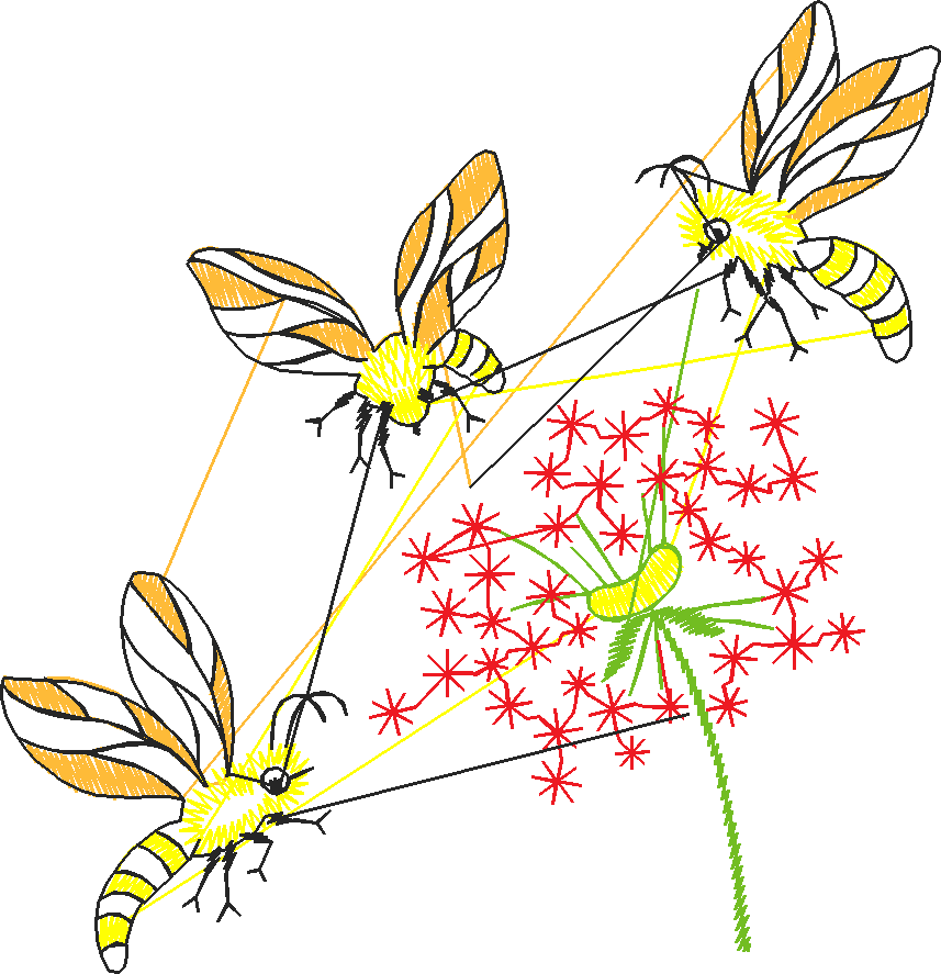 Animals 6 (14)