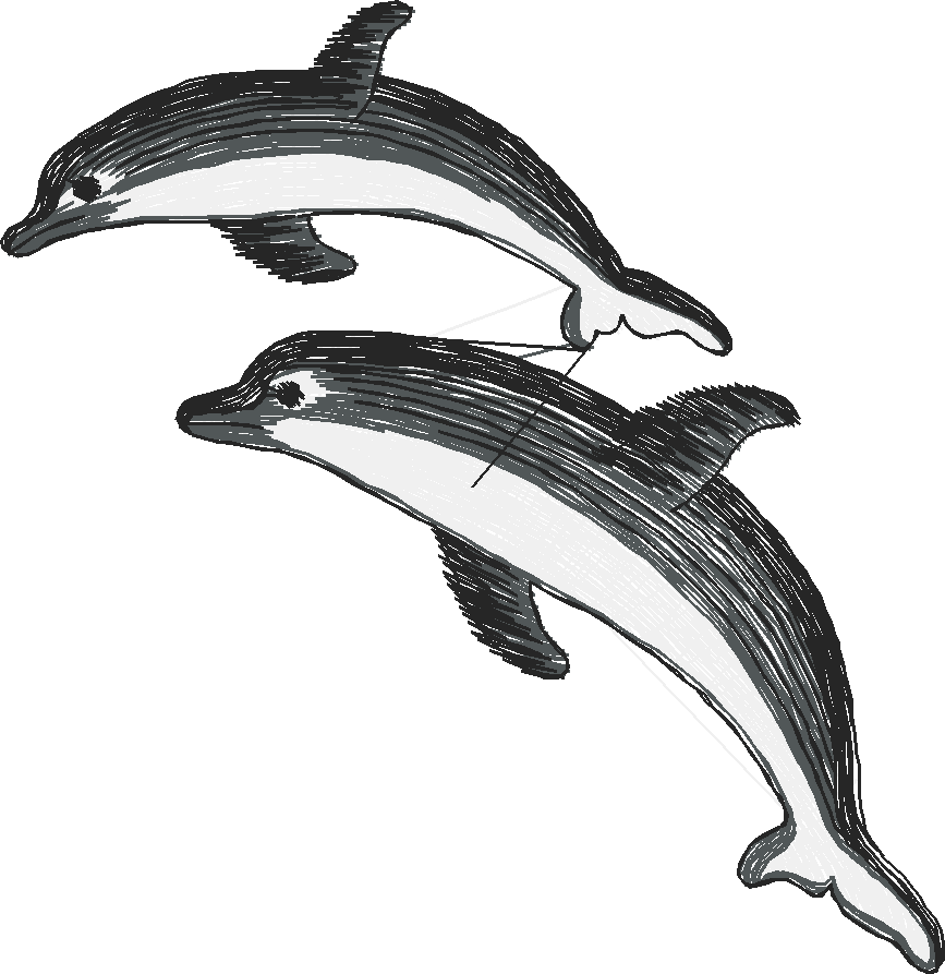 Animals 6 (9)