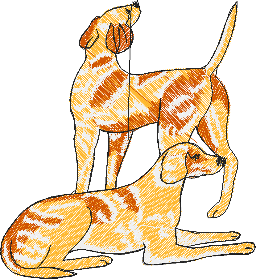 Animals 8 (10)