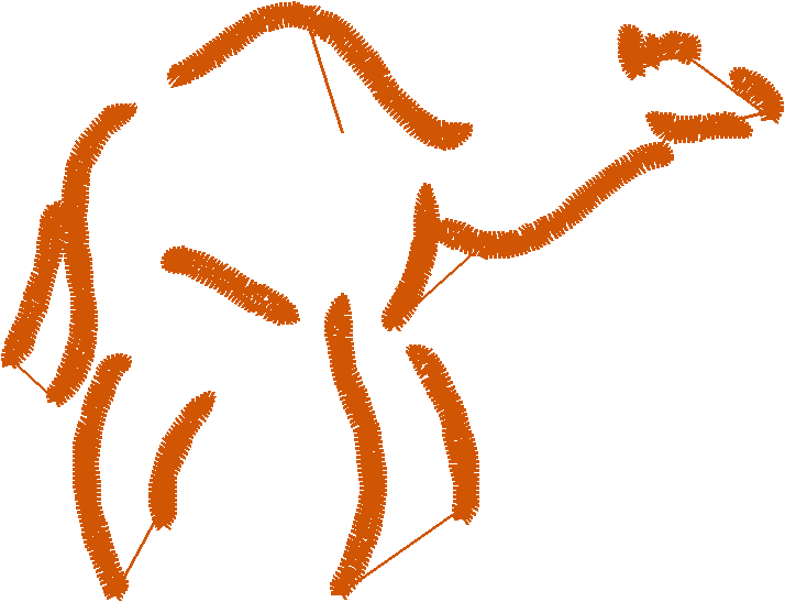 Camel