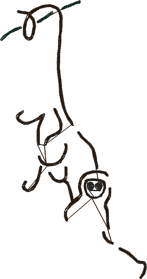 Monkeyol