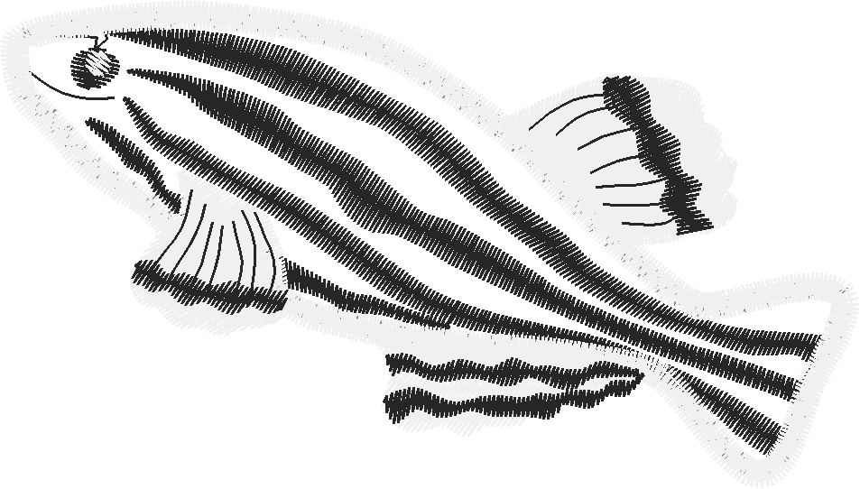 Apl01026