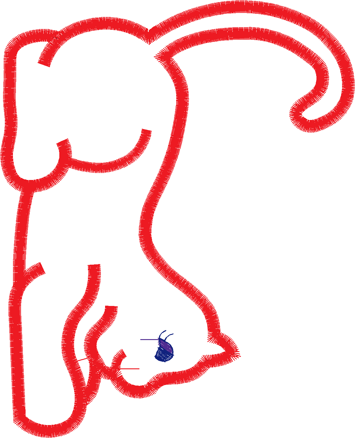 Cat 4