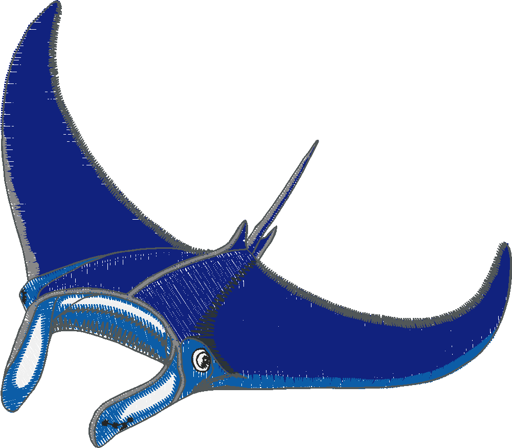 Aquatic 1 (9)