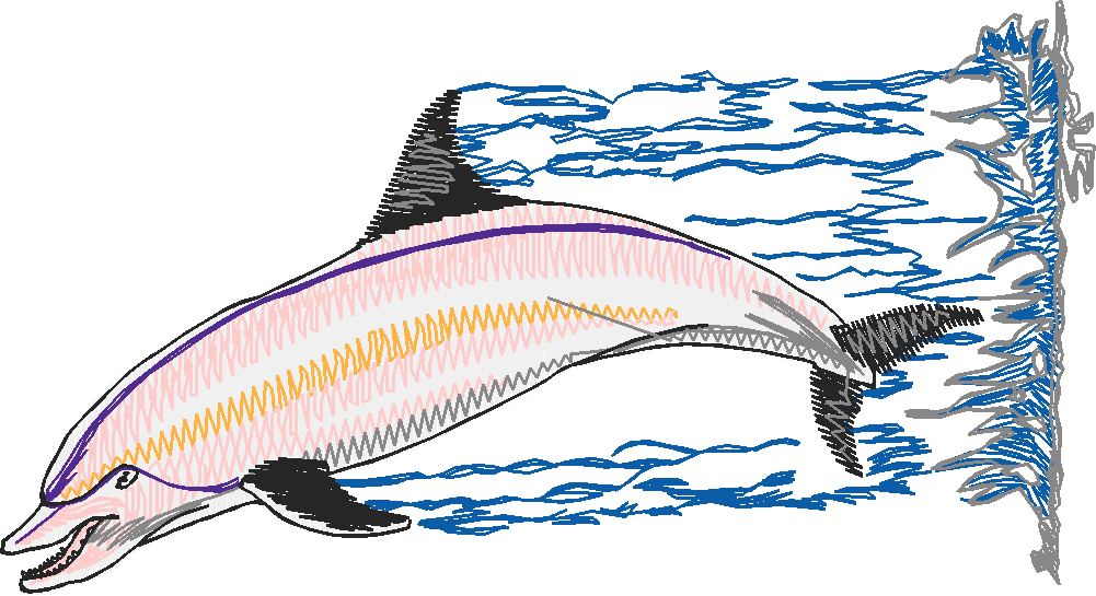 Aquatic 3  (19)
