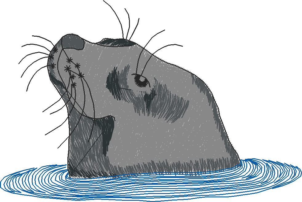 Artic 1  (10)