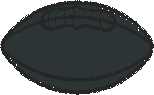 Filled Football