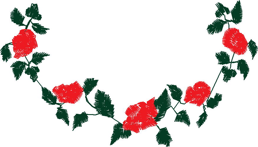 Baby Roses