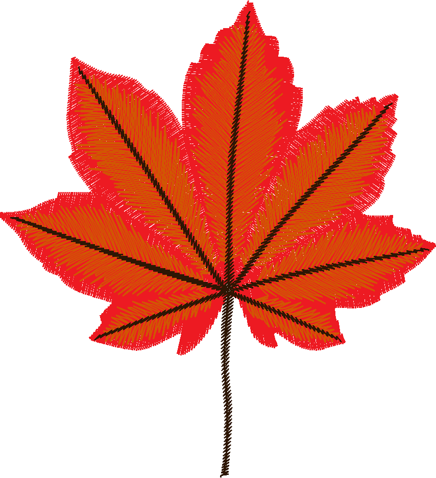 Autumn 2  (5)