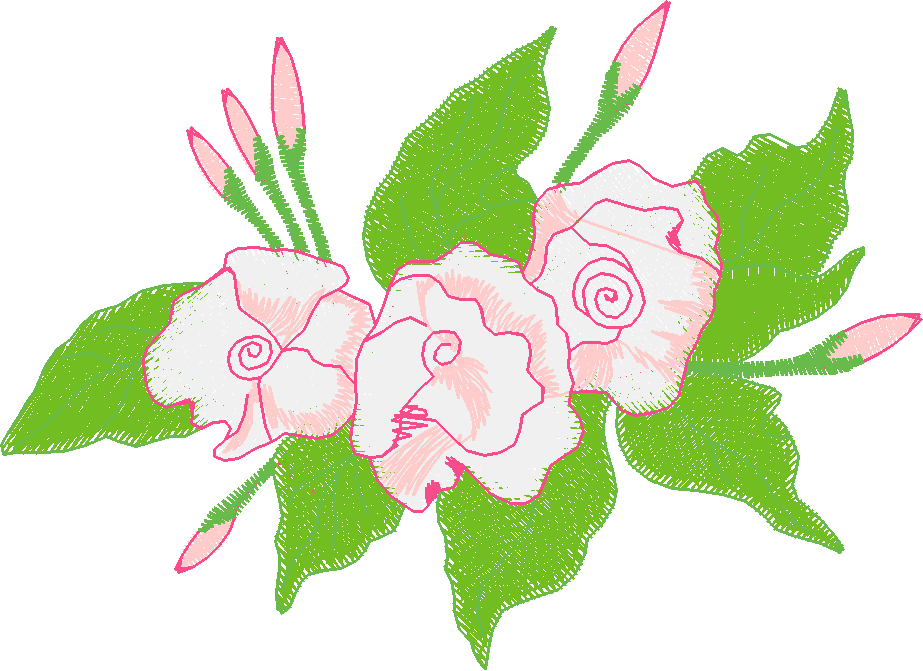 Card006