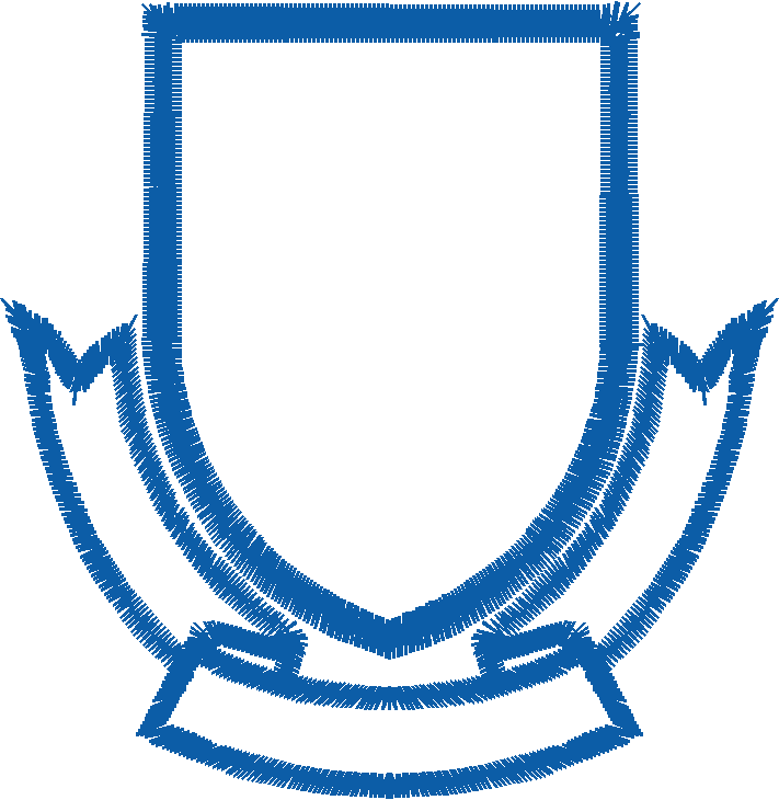 Shield1