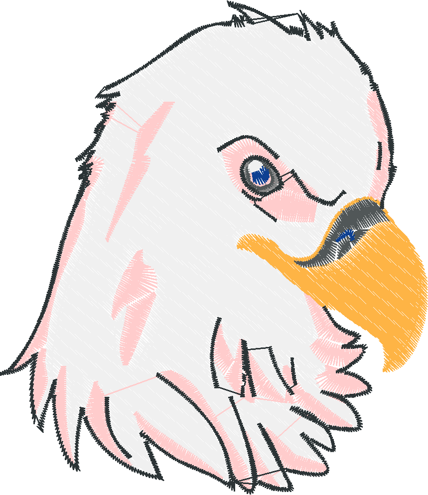 Bald Eagles 1 (3)