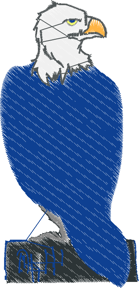 Bald Eagles 1 (6)