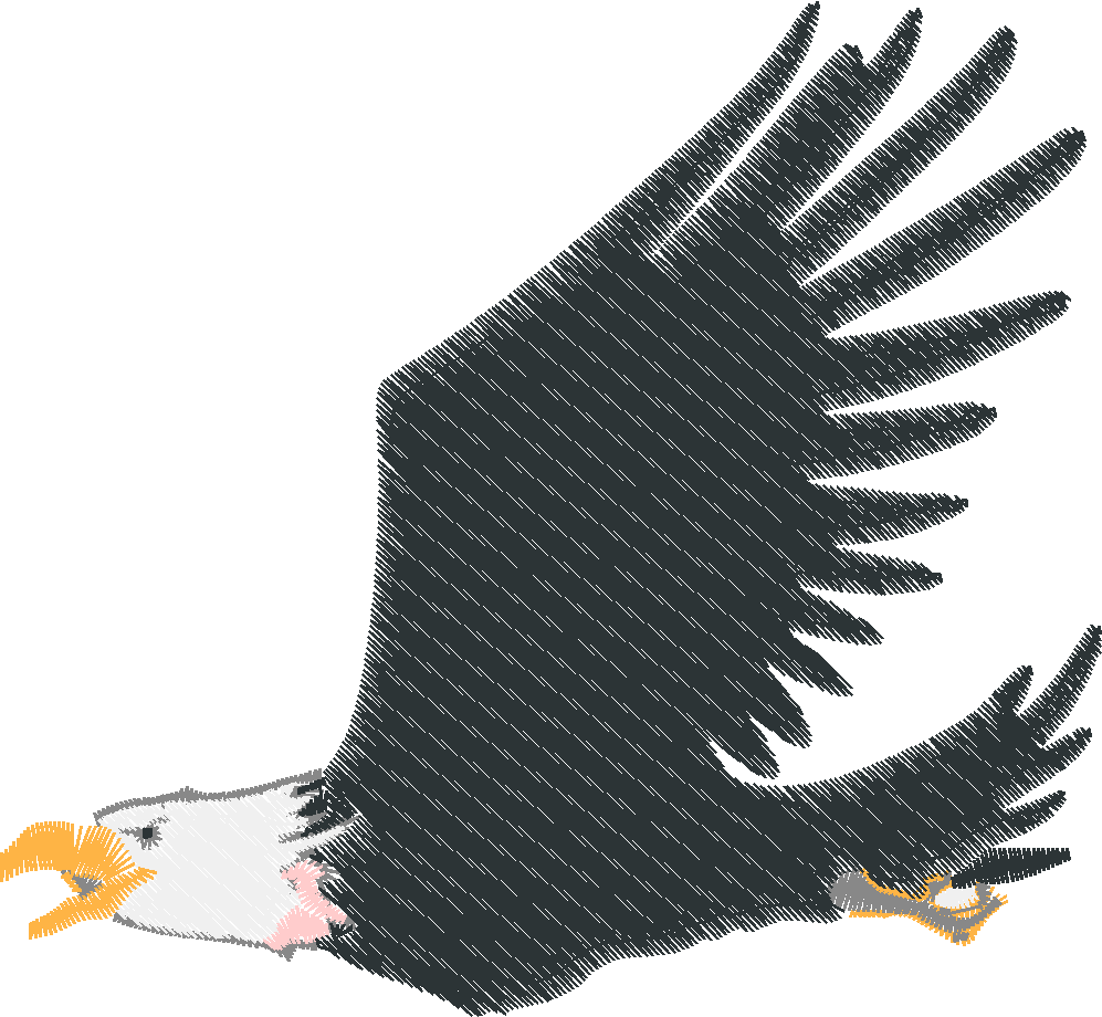Bald Eagles 1 (8)