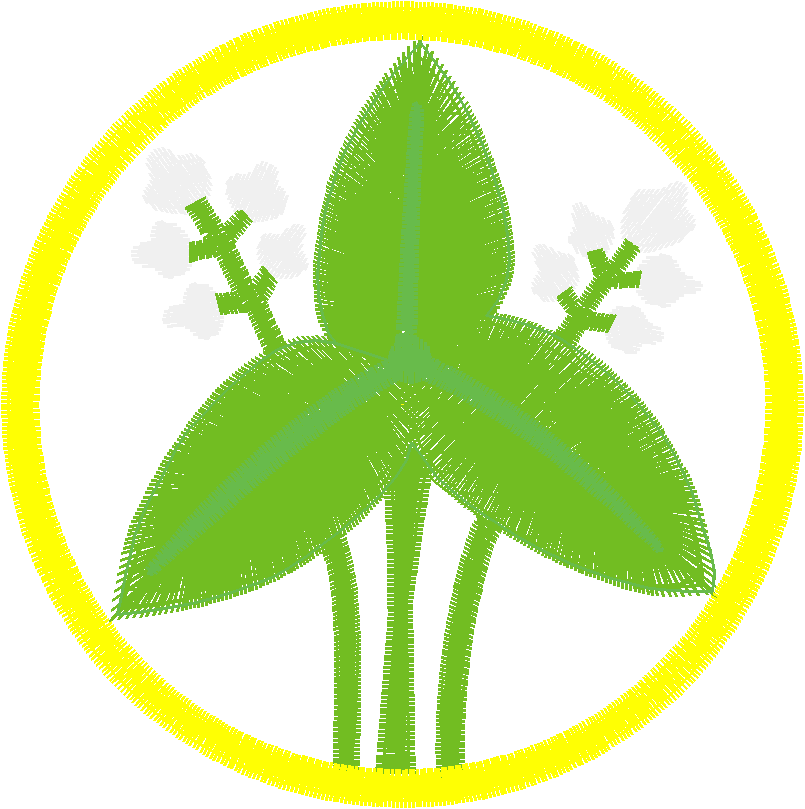 Bamboo 1 (20)