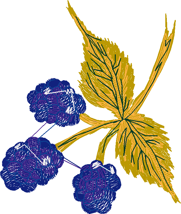 Berries 1 (16)