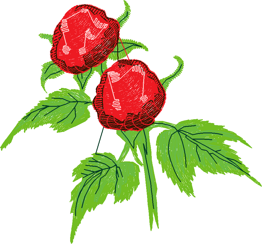 Berries 1 (3)