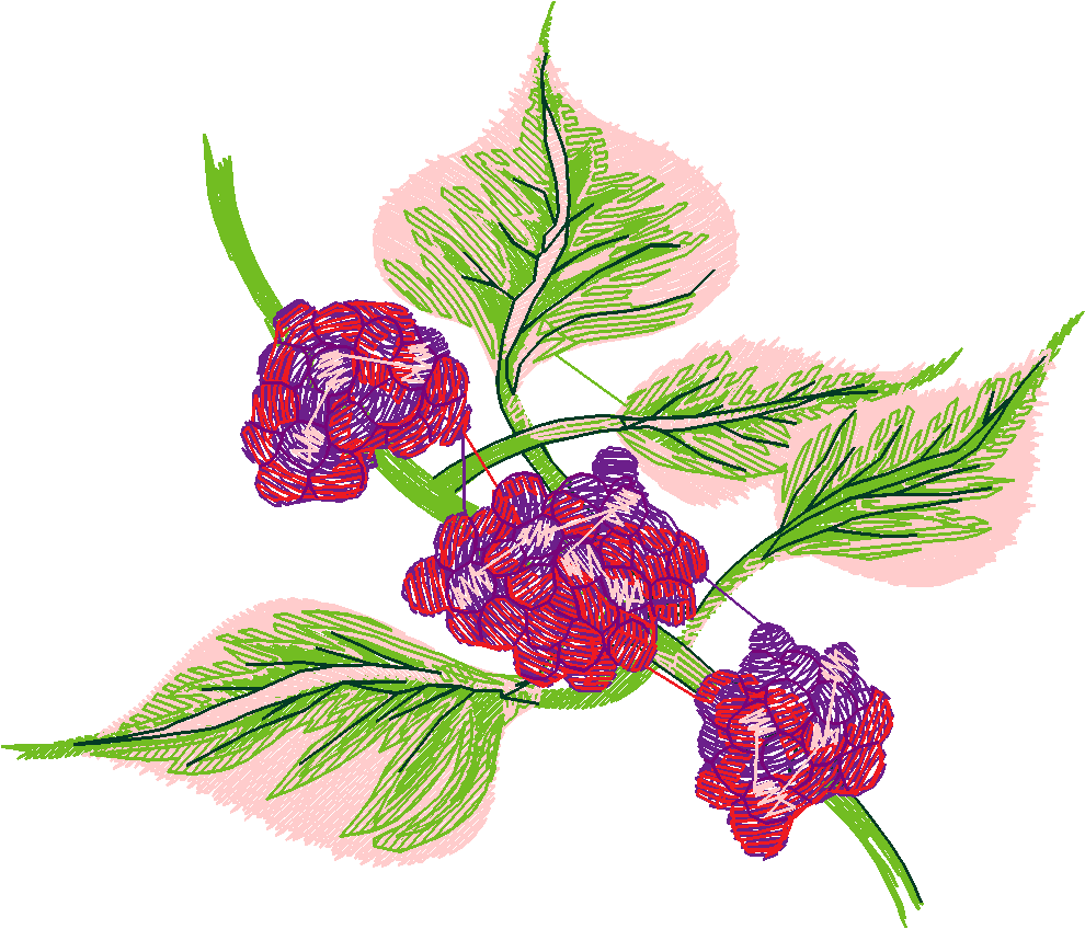 Berries 1 (4)