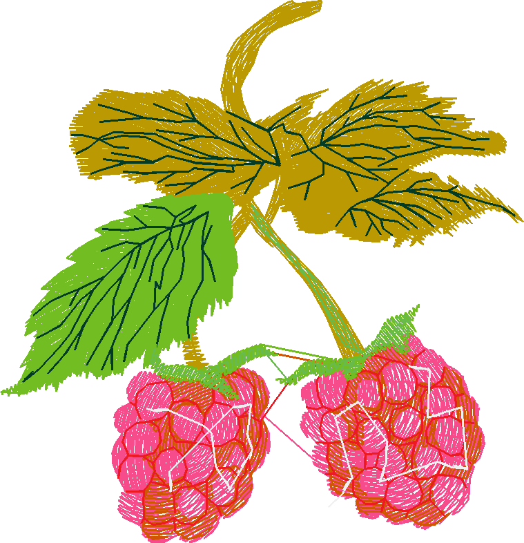 Berries 1 (5)