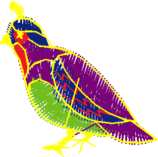 Birds 1 (99)