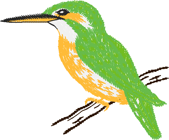 Birds 10 (18)