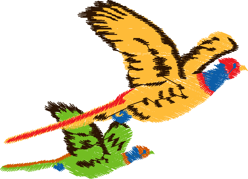 Birds 10 (21)