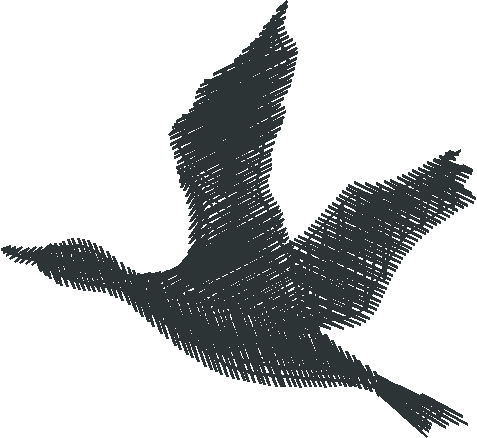 Birds 10 (8)