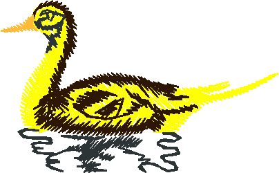 Birds 10 (9)
