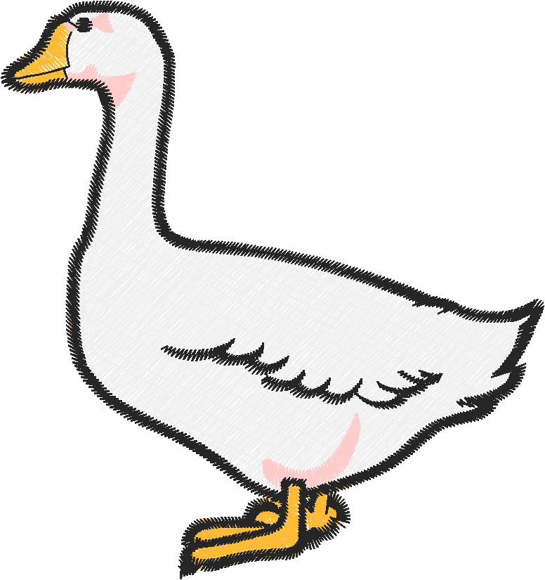Birds 11 (25)