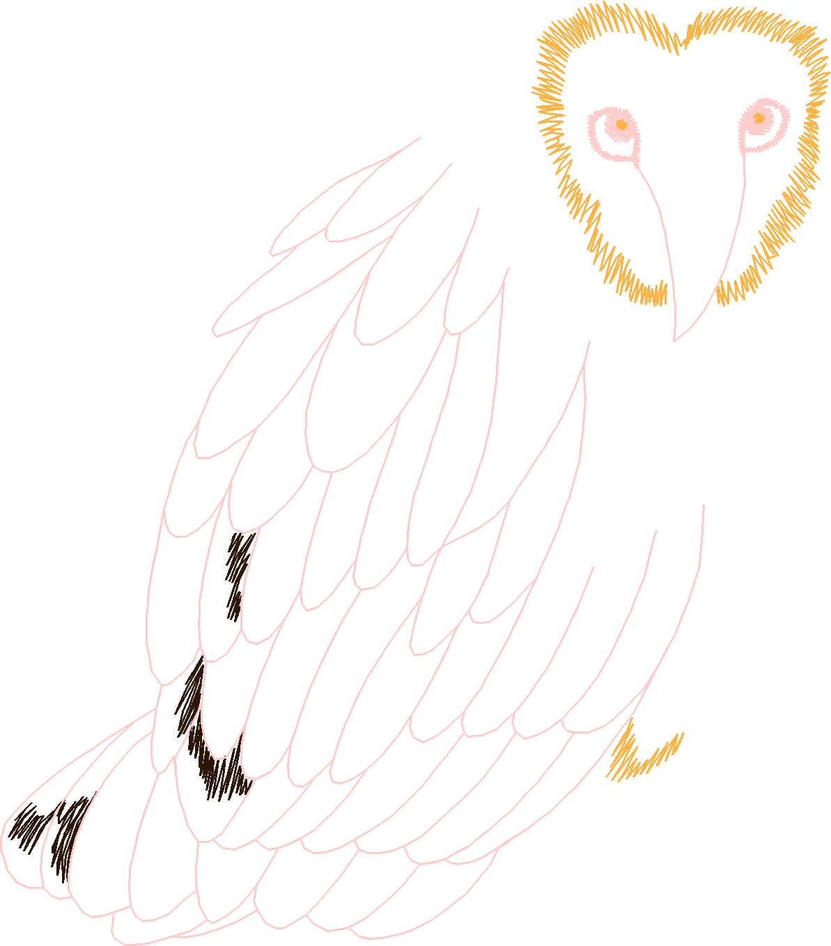 Birds 12 (6)