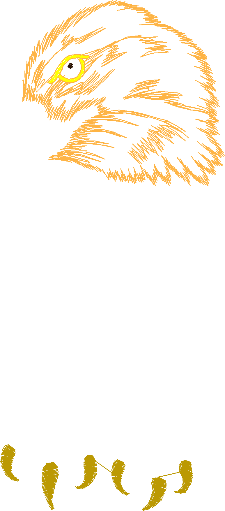 Birds 12 (8)
