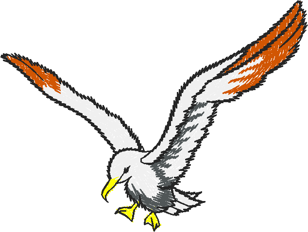 Birds 13 (22)