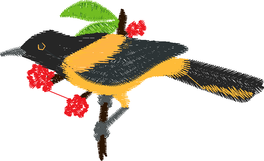 Birds 17 (10)