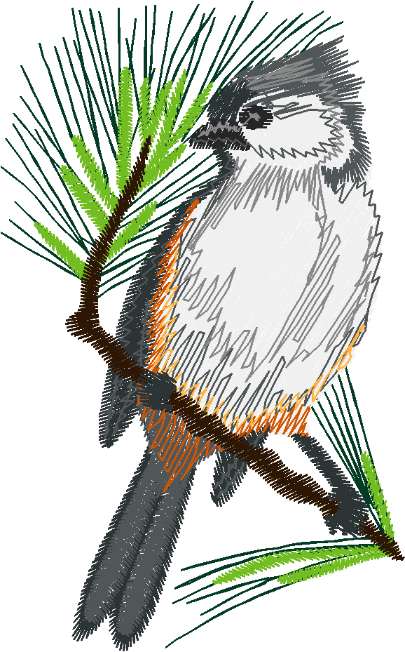 Birds 17 (17)
