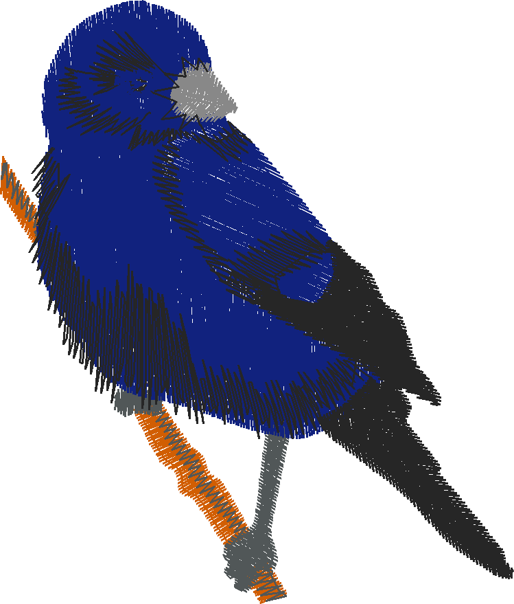 Birds 17 (7)