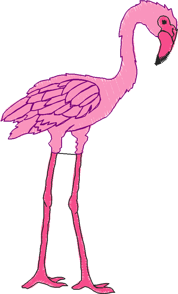 Birds 18 (7)