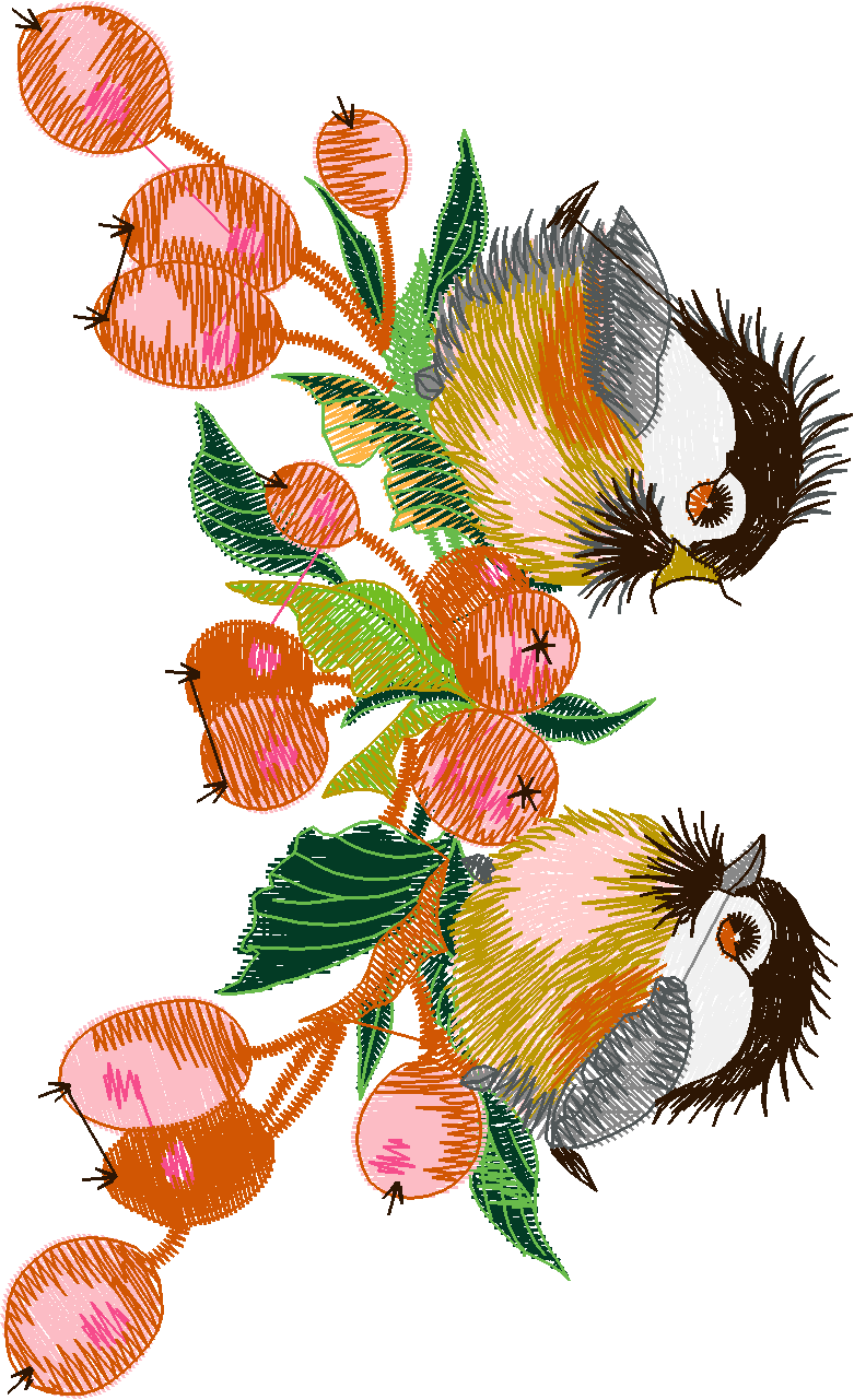 Birds 19 (1)